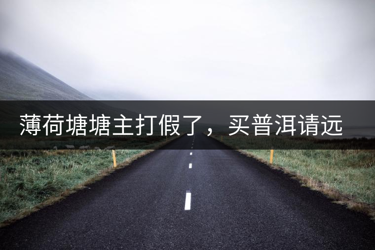 薄荷塘塘主打假了，買普洱請遠離那些講故事的奸商