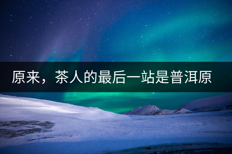 原來，茶人的最后一站是普洱原來，茶人的最后一站是普洱