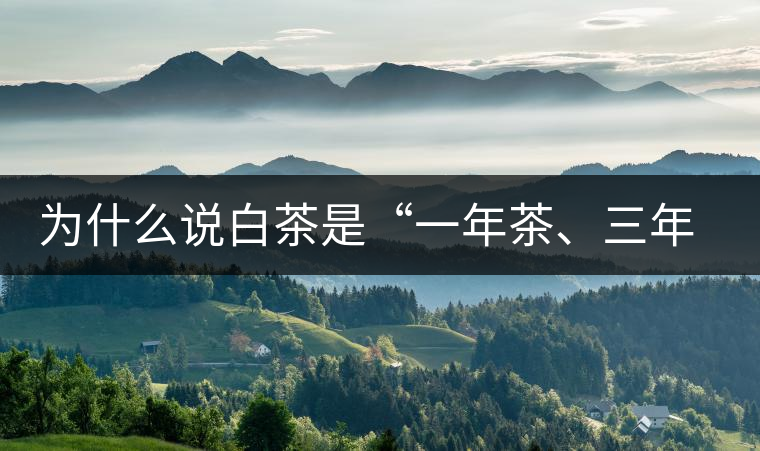 為什么說(shuō)白茶是“一年茶、三年藥、七年寶”?為什么說(shuō)白茶是“一年茶、三年藥、七年寶”？
