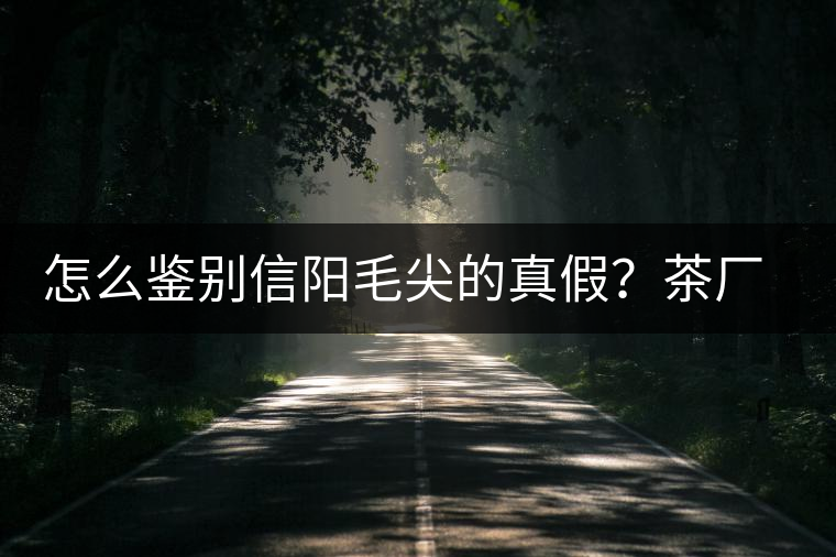 怎么鑒別信陽(yáng)毛尖的真假？茶廠小姐姐親自告訴你茶葉的等級(jí)