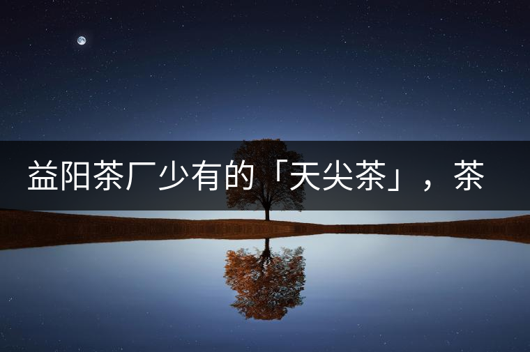 益陽茶廠少有的「天尖茶」，茶品升級，收藏趁早！
