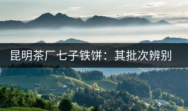 昆明茶廠七子鐵餅：其批次辨別、配方、年份大盤點(diǎn)！