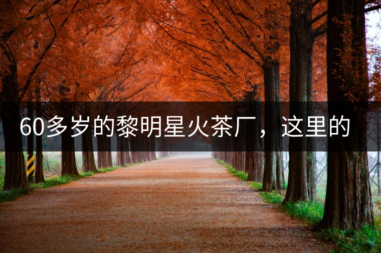 60多歲的黎明星火茶廠，這里的人依然在做茶