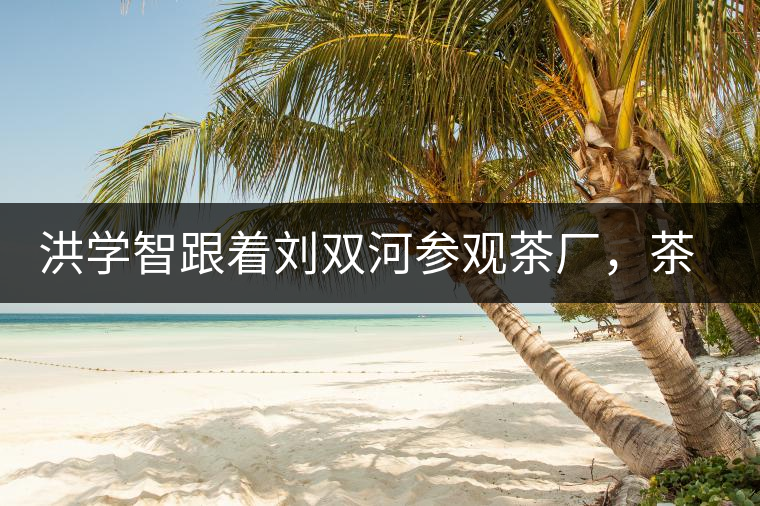 洪學智跟著劉雙河參觀茶廠，茶廠黃老板對賣苦力的百姓百般欺凌