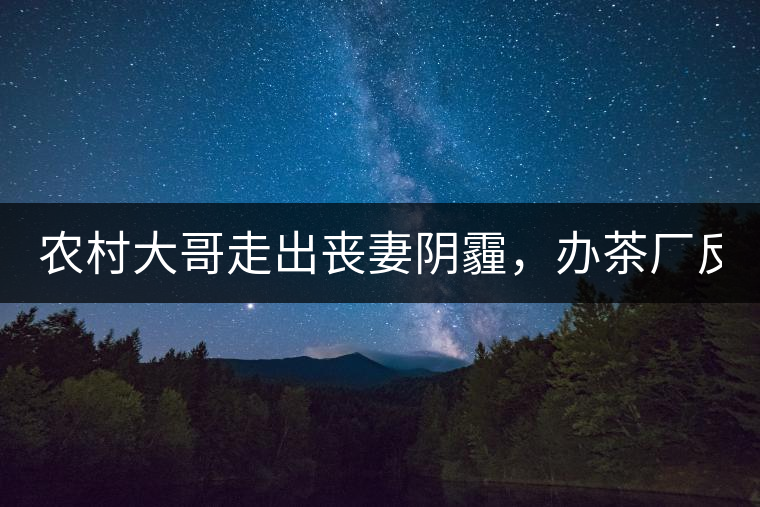 農(nóng)村大哥走出喪妻陰霾，辦茶廠反哺鄉(xiāng)鄰，每天處理鮮葉4000斤