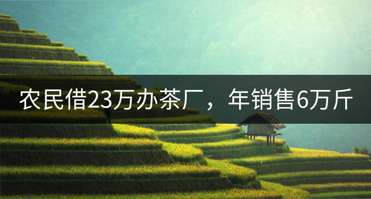 農(nóng)民借23萬(wàn)辦茶廠，年銷售6萬(wàn)斤，每天休息僅20分鐘!農(nóng)民借23萬(wàn)辦茶廠，年銷售6萬(wàn)斤，每天休息僅20分鐘！