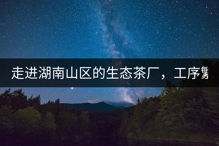 走進(jìn)湖南山區(qū)的生態(tài)茶廠，工序繁雜精細(xì)，538塊錢1斤真值走進(jìn)湖南山區(qū)的生態(tài)茶廠，工序繁雜精細(xì)，538塊錢1斤真值