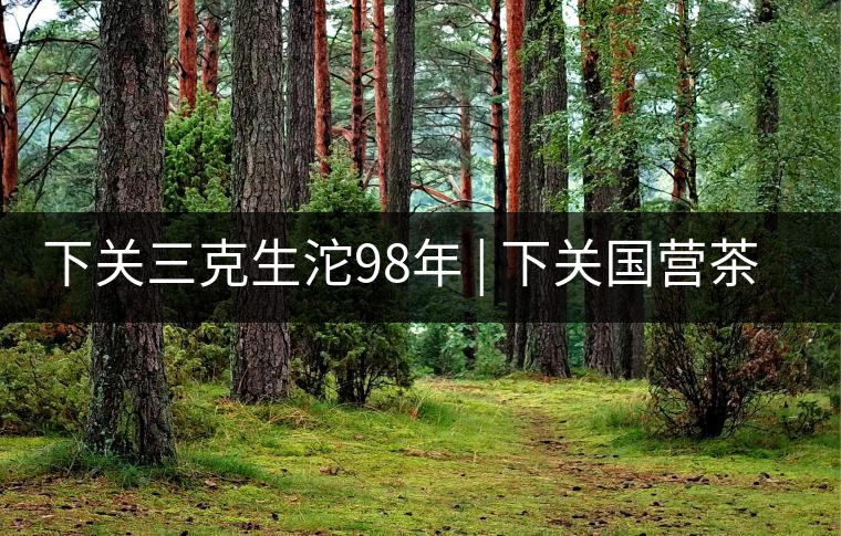 下關(guān)三克生沱98年 | 下關(guān)國營茶廠出口料，干倉儲存，...下關(guān)三克生沱98年 | 下關(guān)國營茶廠出口料，干倉儲存，19年老茶！