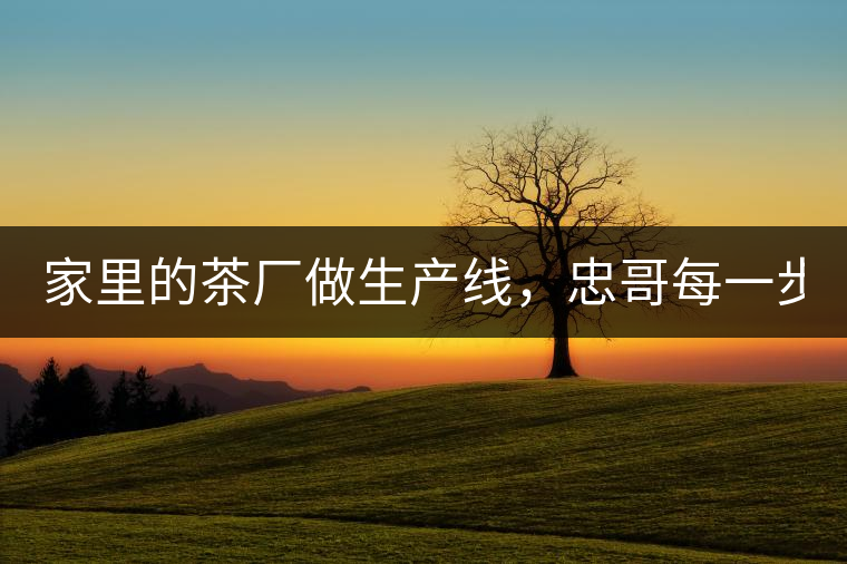 家里的茶廠做生產(chǎn)線，忠哥每一步都親自做，每個步驟...家里的茶廠做生產(chǎn)線，忠哥每一步都親自做，每個步驟都非常嚴(yán)謹(jǐn)！
