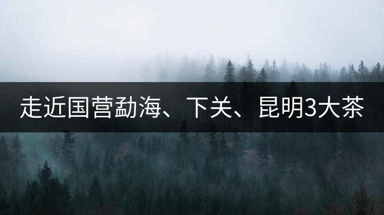 走近國營勐海、下關、昆明3大茶廠，傳世代表作的發(fā)展詳...走近國營勐海、下關、昆明3大茶廠，傳世代表作的發(fā)展詳解
