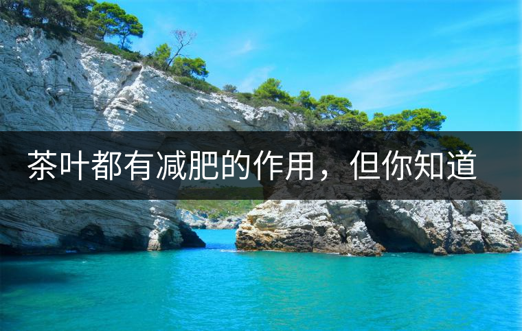 茶葉都有減肥的作用，但你知道哪種茶減肥的效果最好嗎?