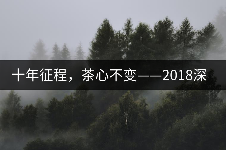 十年征程，茶心不變——2018深圳秋季茶博會12月13日隆重開幕！