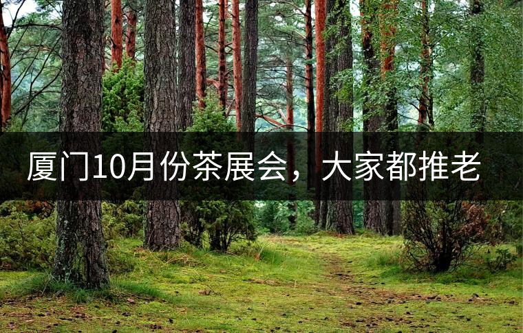 廈門10月份茶展會，大家都推老茶跟各種高端手工茶器