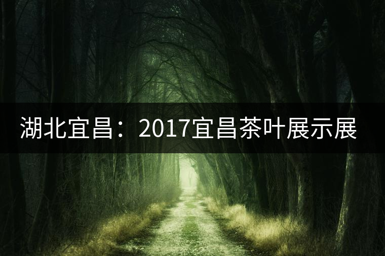 湖北宜昌:2017宜昌茶葉展示展銷會 茶香醉人 湖北宜昌:2017宜昌茶葉展示展銷會 茶香醉人