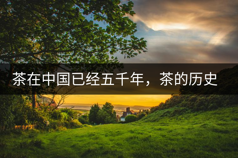 茶在中國(guó)已經(jīng)五千年，茶的歷史、種植、采摘、選擇和沖泡