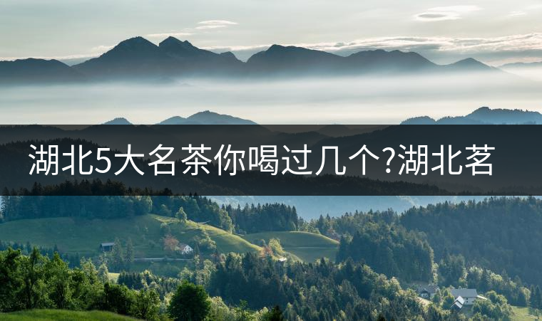湖北5大名茶你喝過(guò)幾個(gè)?湖北茗茶的歷史故事?湖北茶哪...湖北5大名茶你喝過(guò)幾個(gè)？湖北茗茶的歷史故事？湖北茶哪個(gè)產(chǎn)地好