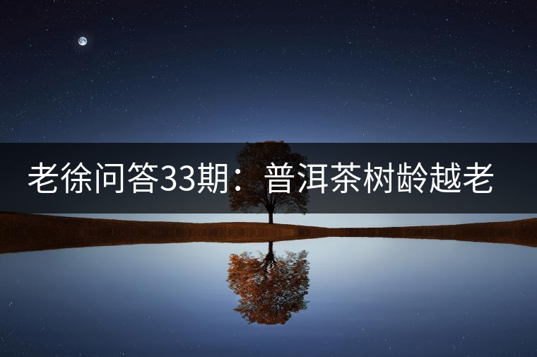 老徐問(wèn)答33期：普洱茶樹(shù)齡越老越貴，那100年樹(shù)齡的老班章呢？
