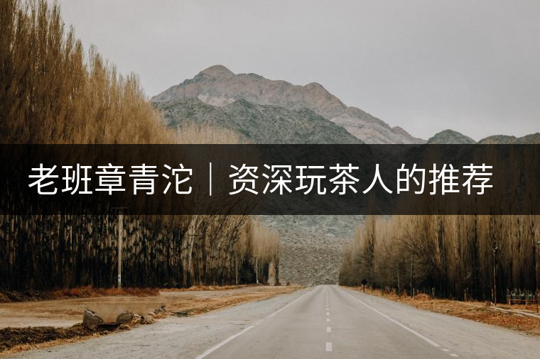 老班章青沱｜資深玩茶人的推薦，老班章專屬的老味道