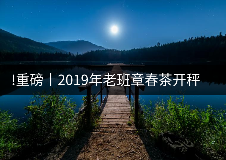 !重磅丨2019年老班章春茶開秤，一筆定價？如此出人意料！