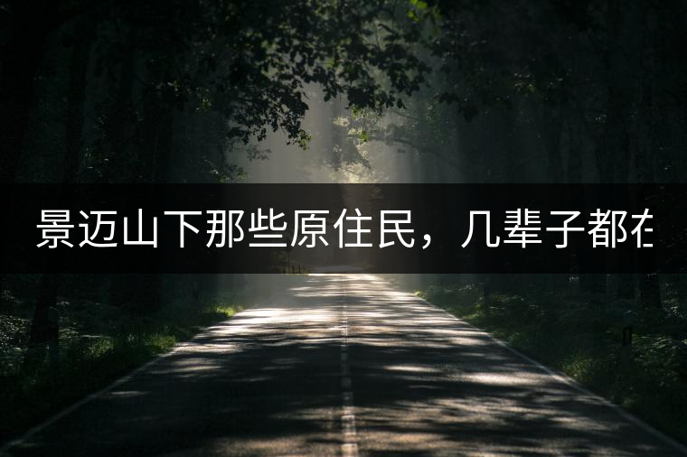 景邁山下那些原住民，幾輩子都在采茶、制茶，才有最...景邁山下那些原住民，幾輩子都在采茶、制茶，才有最好喝的普洱