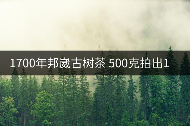 1700年邦崴古樹茶 500克拍出18萬元天價(jià)
