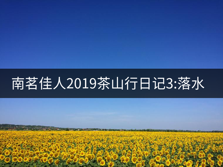 南茗佳人2019茶山行日記3:落水洞--200多年建村歷史，...南茗佳人2019茶山行日記3：落水洞——200多年建村歷史，靈動清越