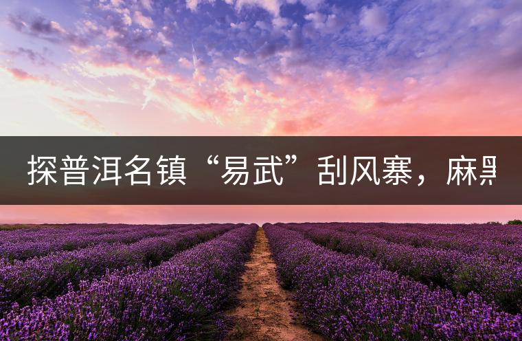 探普洱名鎮(zhèn)“易武”刮風(fēng)寨，麻黑，落水洞!小編親自下...探普洱名鎮(zhèn)“易武”刮風(fēng)寨，麻黑，落水洞！小編親自下手“殺青”