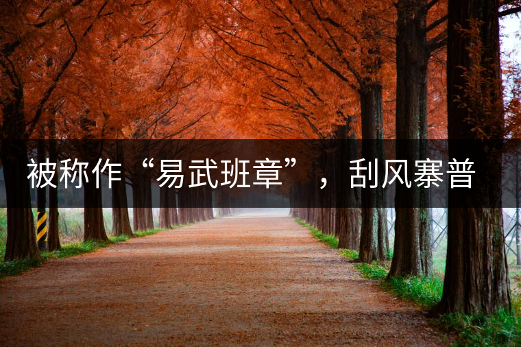 被稱作“易武班章”，刮風(fēng)寨普洱茶是否實(shí)至名歸?被稱作“易武班章”，刮風(fēng)寨普洱茶是否實(shí)至名歸？