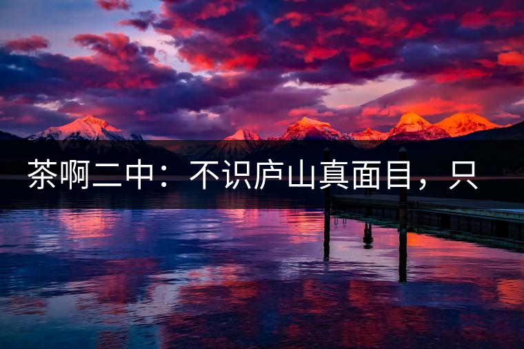 茶啊二中：不識廬山真面目，只識彎弓射大雕，賈淳真搞笑