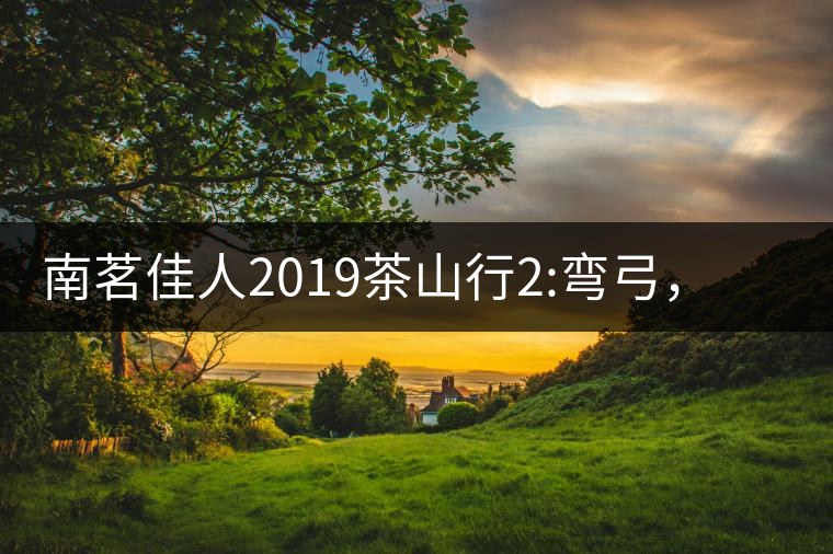 南茗佳人2019茶山行2:彎弓，一路艱辛，只為這有生命...南茗佳人2019茶山行2：彎弓，一路艱辛，只為這有生命厚度的茶！