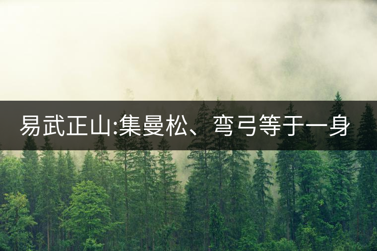 易武正山:集曼松、彎弓等于一身的貴族老黃片，好喝沒(méi)得...易武正山：集曼松、彎弓等于一身的貴族老黃片，好喝沒(méi)得說(shuō)