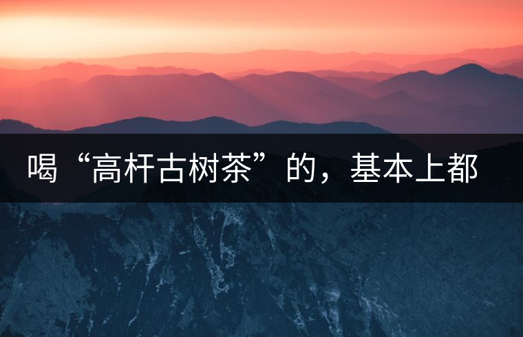 喝“高桿古樹茶”的，基本上都是不懂茶的