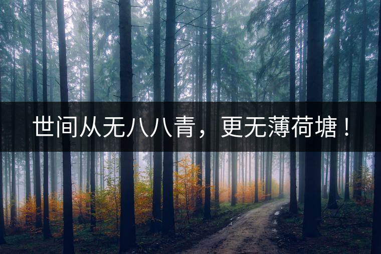 世間從無八八青，更無薄荷塘 !