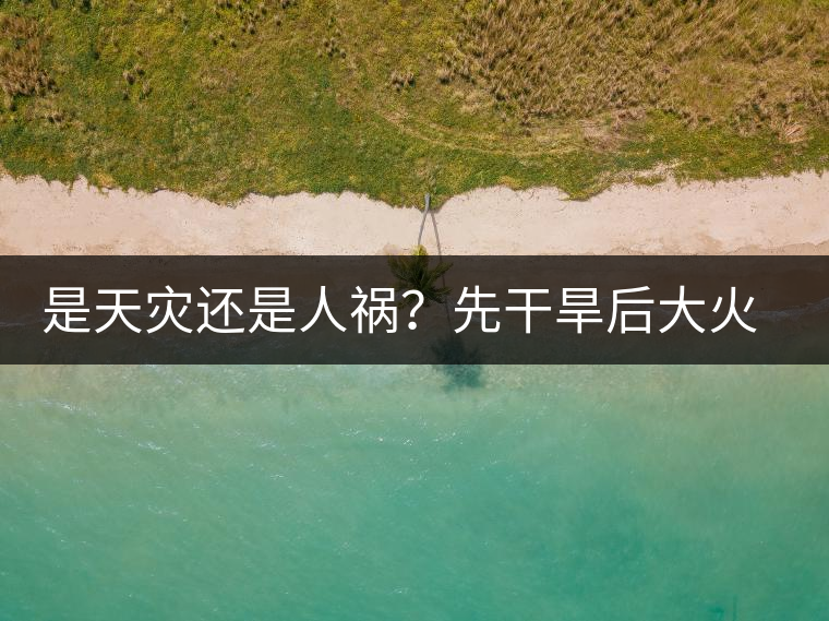是天災(zāi)還是人禍？先干旱后大火，普洱茶將何去何從？