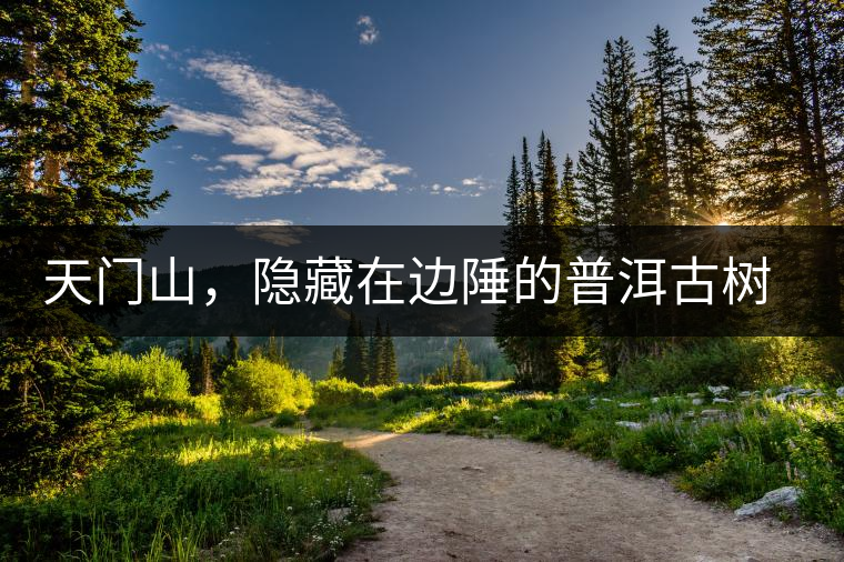 天門山，隱藏在邊陲的普洱古樹茶天門山，隱藏在邊陲的普洱古樹茶