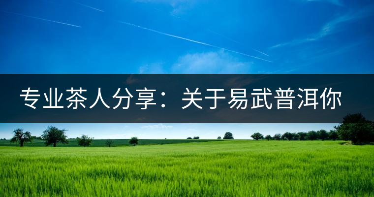 專業(yè)茶人分享：關(guān)于易武普洱你不可不知的幾大方面