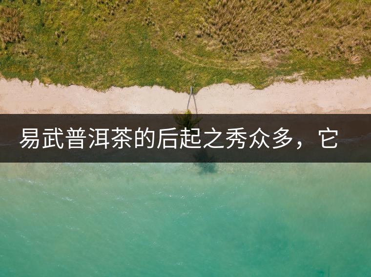 易武普洱茶的后起之秀眾多，它是還沒漲價的一個！