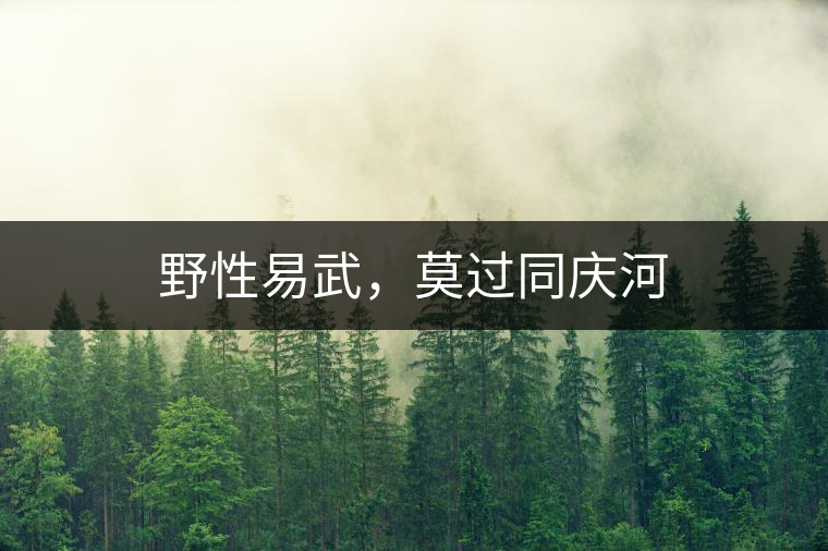 野性易武，莫過同慶河