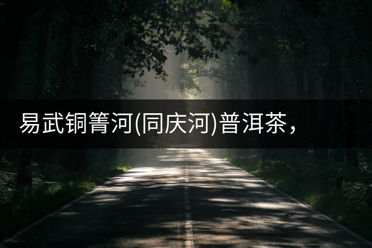 易武銅箐河(同慶河)普洱茶，讓我拜倒的不止它的口感易武銅箐河（同慶河）普洱茶，讓我拜倒的不止它的口感
