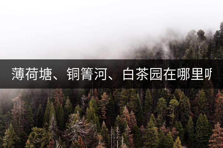 薄荷塘、銅箐河、白茶園在哪里呢?薄荷塘、銅箐河、白茶園在哪里呢？