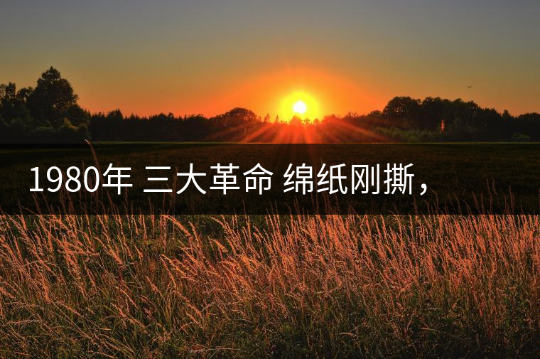 1980年 三大革命 綿紙剛撕，品相極好，整體干凈漂亮1980年 三大革命 綿紙剛撕，品相極好，整體干凈漂亮