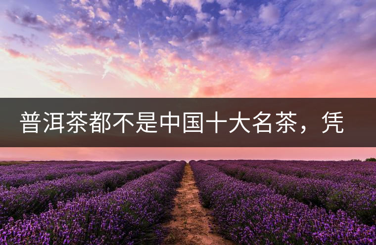 普洱茶都不是中國十大名茶，憑什么還是“可以喝的古董”