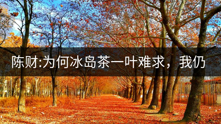 陳財:為何冰島茶一葉難求，我仍然堅持