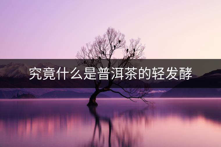 究竟什么是普洱茶的輕發(fā)酵