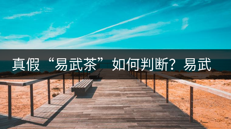 真假“易武茶”如何判斷？易武普洱茶有哪些特點(diǎn)？