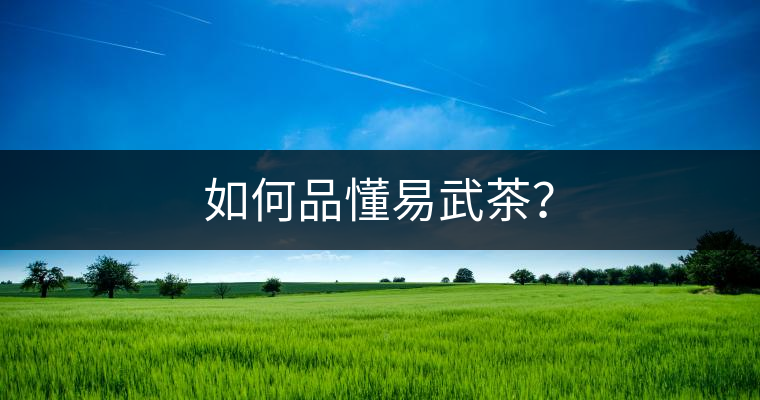 如何品懂易武茶？