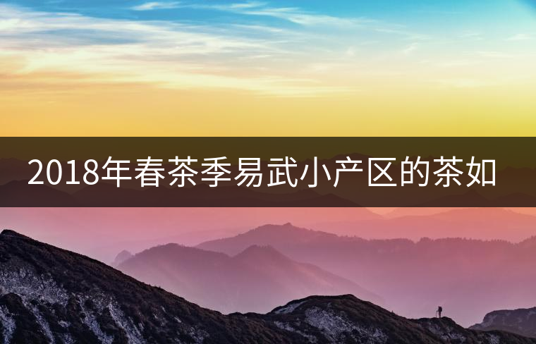 2018年春茶季易武小產(chǎn)區(qū)的茶如何？