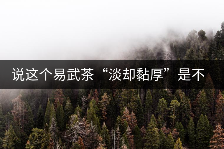 說這個(gè)易武茶“淡卻黏厚”是不是說胡話？