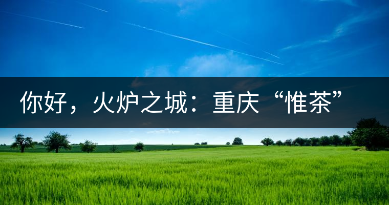 你好，火爐之城：重慶“惟茶”兩周年·易武茶會(huì)