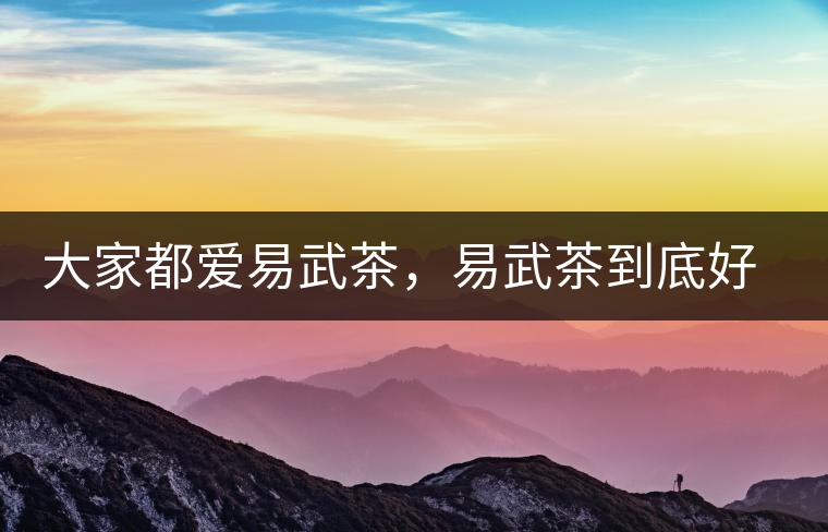 大家都愛(ài)易武茶，易武茶到底好在哪兒?大家都愛(ài)易武茶，易武茶到底好在哪兒？